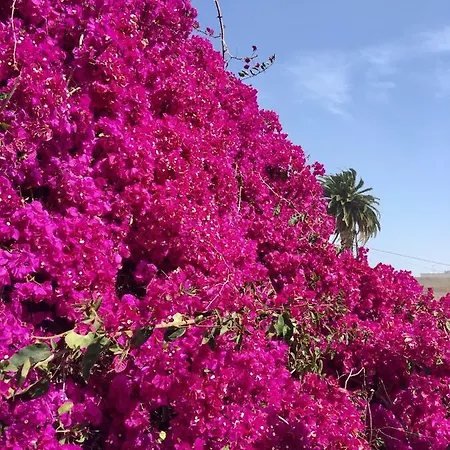 Nuevo Horizonte Hébergement de vacances Costa De Antigua