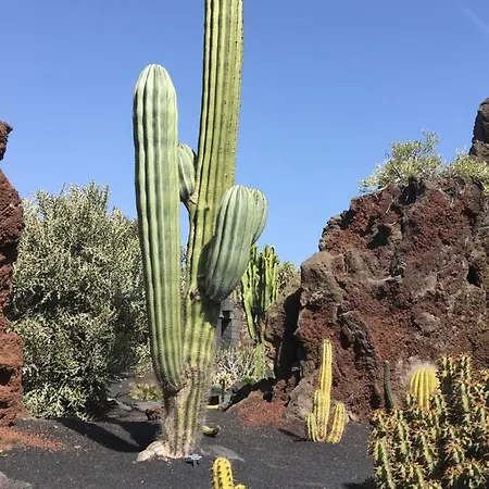 Nuevo Horizonte * Costa De Antigua