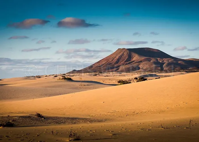 Nuevo Horizonte Tatil Evi