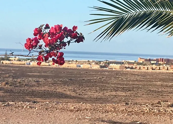 Nuevo Horizonte * Costa De Antigua